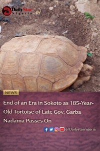 A_news-style_digital_photograph_features_DailyStar